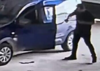 Hafif ticari araca giren yılan paniğe neden oldu; o anlar kamerada