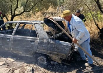 Yanan otomobilini uzaklaştırıp, alevlerin ormana sıçramasını önledi