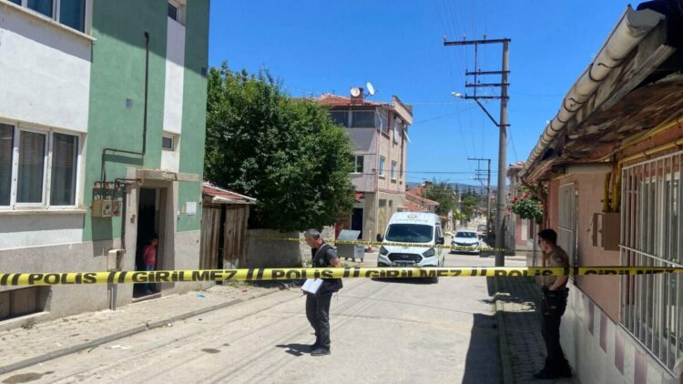 Sürücüsünün geri manevra yaptığı hafif ticari aracın çarptığı yaya öldü
