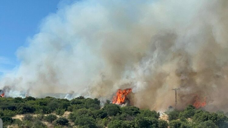 Çanakkale'de bozuk ormanda yangın