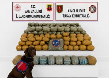 İran sınırında 291 kilo esrar ele geçirildi