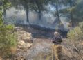 Kahramanmaraş’ta orman yangını