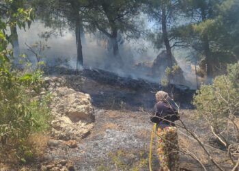Kahramanmaraş’ta orman yangını