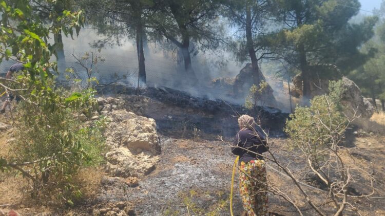 Kahramanmaraş’ta orman yangını