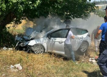 İzmir'de otomobil, ağaca çarptı: 4 ağır yaralı