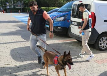 Denizli'de uyuşturucu operasyonu: Baro Başkanı dahil 12 avukata gözaltı