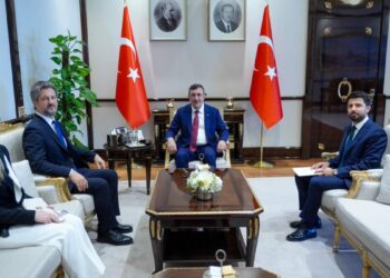 Cumhurbaşkanı Yardımcısı Yılmaz, Macaristan Büyükelçisi Matis'i kabul etti