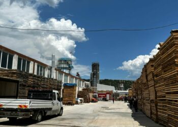 Fabrikanın talaş silosunda çıkan yangın hasara yol açtı