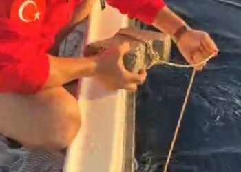 Ayağına parke taşı bağlanmış deniz kaplumbağasını kurtardılar