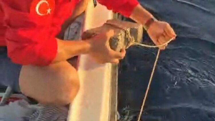 Ayağına parke taşı bağlanmış deniz kaplumbağasını kurtardılar