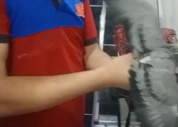 Havalandırma boşluğuna düşen güvercini itfaiye kurtardı