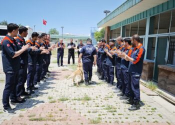 Emekliliği beklenen kahraman köpek 'Köpük', 9 yaşında grup ikincisi oldu