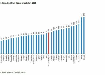 Türkiye'nin tüketim mal ve hizmetleri fiyat düzeyi endeksi 60 oldu