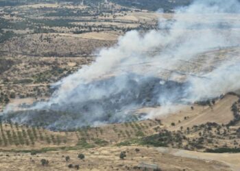 Çanakkale'de orman yangını kontrol altında