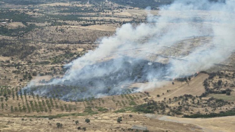 Çanakkale'de orman yangını kontrol altında