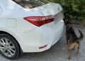 Muğla’da otomobilde 5 kilo 670 gram skunk ele geçirildi: 1 tutuklama