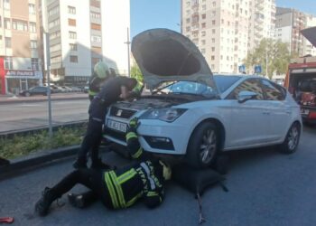 Park halindeki otomobilden yılan sarkıttığı ihbarı endişe yarattı