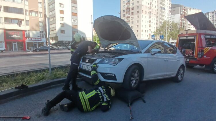 Park halindeki otomobilden yılan sarkıttığı ihbarı endişe yarattı