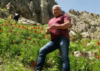Mantar toplamak için çıktığı dağda ölü bulundu
