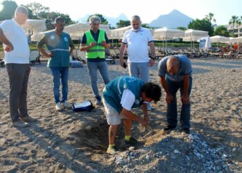 Kemer sahillerinde tespit edilen 38 deniz kaplumbağası yuvası korumaya alındı