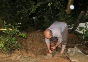 Artvin'de sağanak etkili oldu; dere taştı