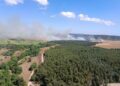 Çanakkale'de orman yangını