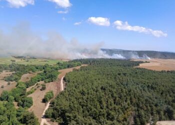 Çanakkale'de orman yangını