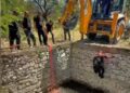 Malatya'da sulama havuzuna düşen inek, halatla çıkarılıp kurtarıldı