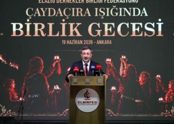 Cevdet Yılmaz: Türkiye Cumhuriyeti olarak hem haklı olacağız hem güçlü olacağız