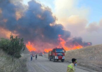 Edirne'de ormanlara giriş yasağı