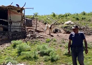17 yaşından beri yılın 6 ayını yaylada tek başına geçiriyor