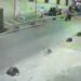 Beyoğlu’nda park halindeki motosikletlerin kasklarını şüpheli yakalandı