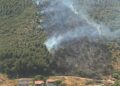 Balıkesir'de orman yangını