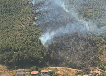 Balıkesir'de orman yangını