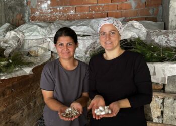İpek böcekçiliği yaparak aile bütçelerine katkı sağlıyorlar