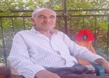 Mal paylaşımı nedeniyle babasını öldürmüş