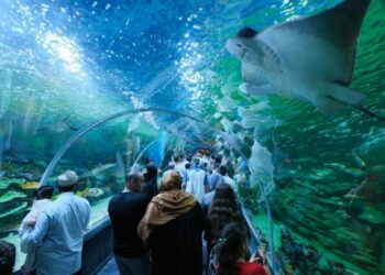 Kocaeli'ndeki Körfez Aqua Kıtalar Akvaryumu'na ücretsiz ziyaret süresi uzatıldı