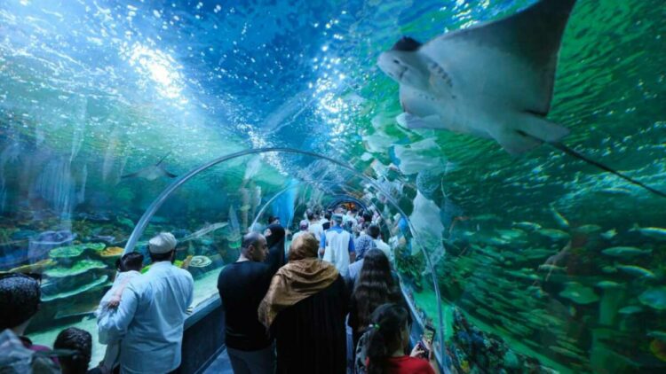 Kocaeli'ndeki Körfez Aqua Kıtalar Akvaryumu'na ücretsiz ziyaret süresi uzatıldı