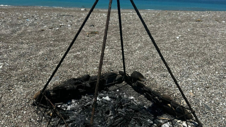 Deniz kaplumbağası koruma demirinin ortasında ateş yaktılar; inceleme başlatıldı