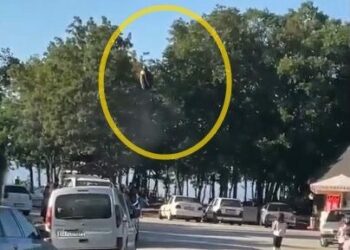 Paraşütçünün ağaca kontrollü inişi, çevredekileri endişelendirdi