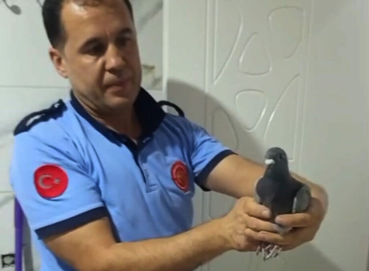 Havalandırma boşluğuna düşen güvercini itfaiyeciler kurtardı