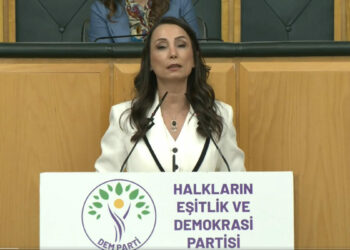 DEM Parti'li Hatimoğulları: Çerçeve yasanın acilen çıkması lazım