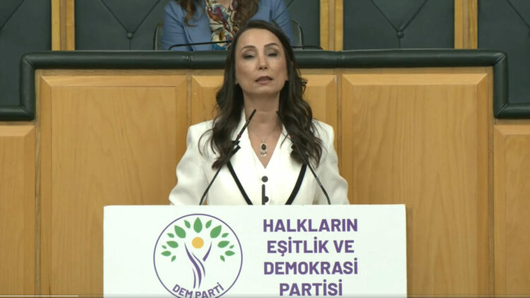 DEM Parti'li Hatimoğulları: Çerçeve yasanın acilen çıkması lazım