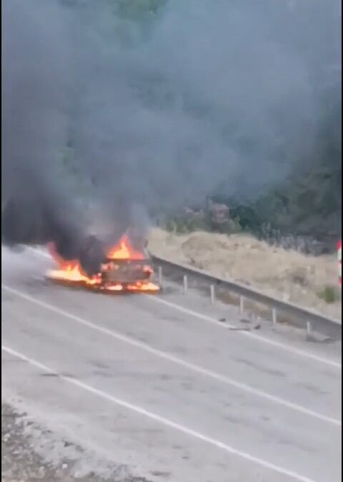 Adana'da seyir halindeki otomobil alev alev yandı
