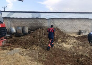 Adıyaman'da örtü ve anız yangınları; 1500 hektar alan zarar gördü