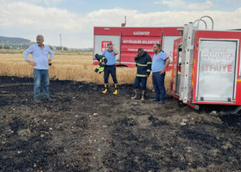 Gaziantep'te 5 dönümlük buğday tarlası yandı