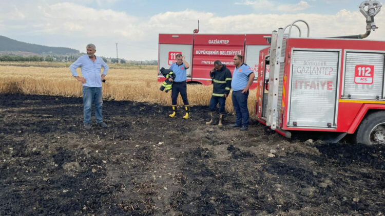 Gaziantep'te 5 dönümlük buğday tarlası yandı
