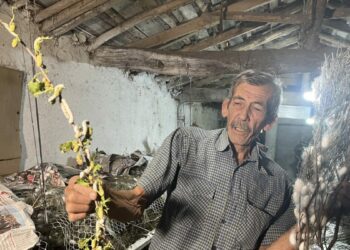 İpek böcekçiliğinin 3'üncü kuşak temsilcisi