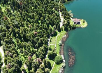 Gölcük’te çam ormanları dronla görüntülendi