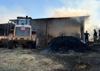 Bursa'da çiftlik yangınında 4 büyükbaş hayvan öldü